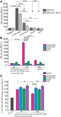 Cytochrome P450-mediated antiseizure medication interactions influence apoptosis, modulate the brain BAX/Bcl-XL ratio and aggravate mitochondrial stressors in human pharmacoresistant epilepsy